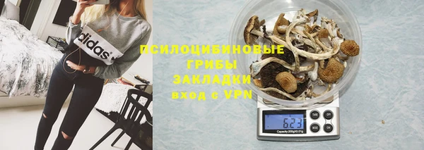 ПСИЛОЦИБИНОВЫЕ ГРИБЫ Куйбышев