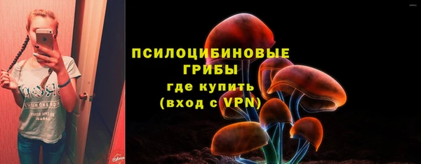 ПСИЛОЦИБИНОВЫЕ ГРИБЫ Куйбышев