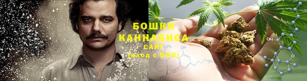 ПСИЛОЦИБИНОВЫЕ ГРИБЫ Куйбышев