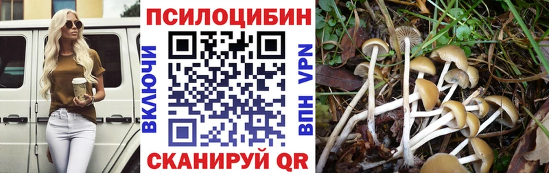Купить закладки  Чайковский  Псилоцибиновые грибы Psilocybine cubensis 